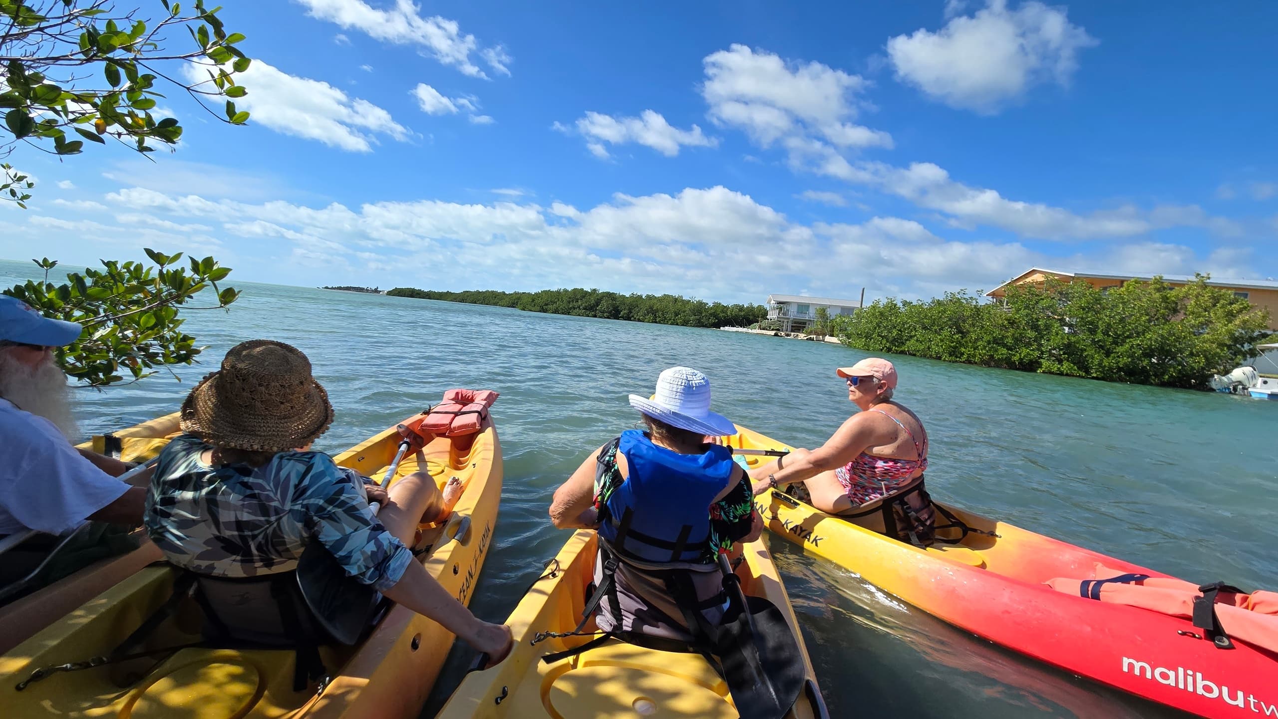 Guided Mangrove Kayak or SUP Eco Tours