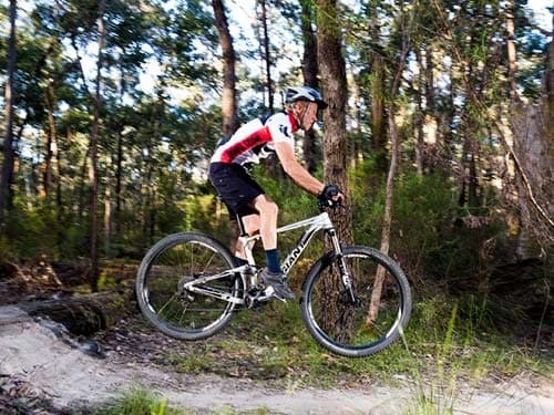 Mountain biker catching air off forest rock on singletrack