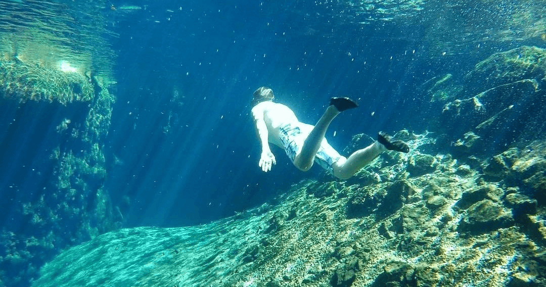 Cenote Adventures & Maya Cuisine from Merida