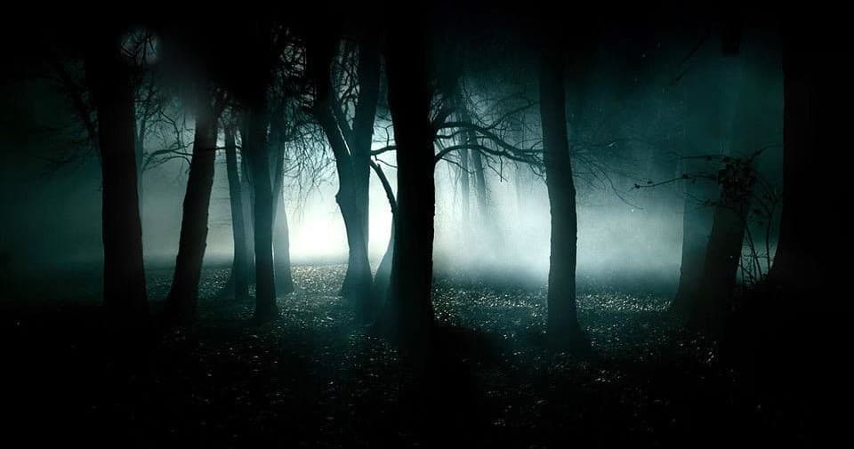 Foggy forest trail at night for haunted Willoughby walk