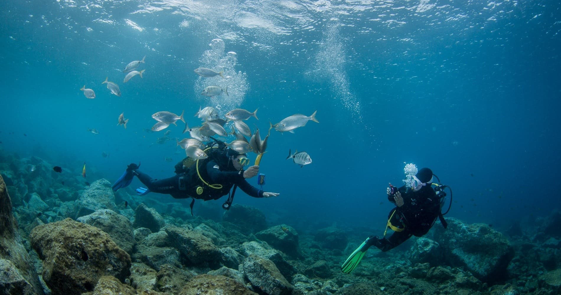 Two scuba divers swimming near vibrant coral reef with fish