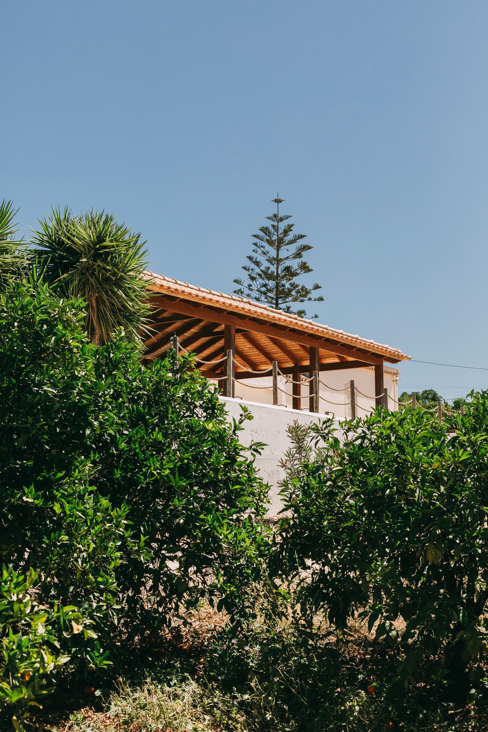 45-Minute Wine Crash Course in Portimão: Taste Portugal's Regions