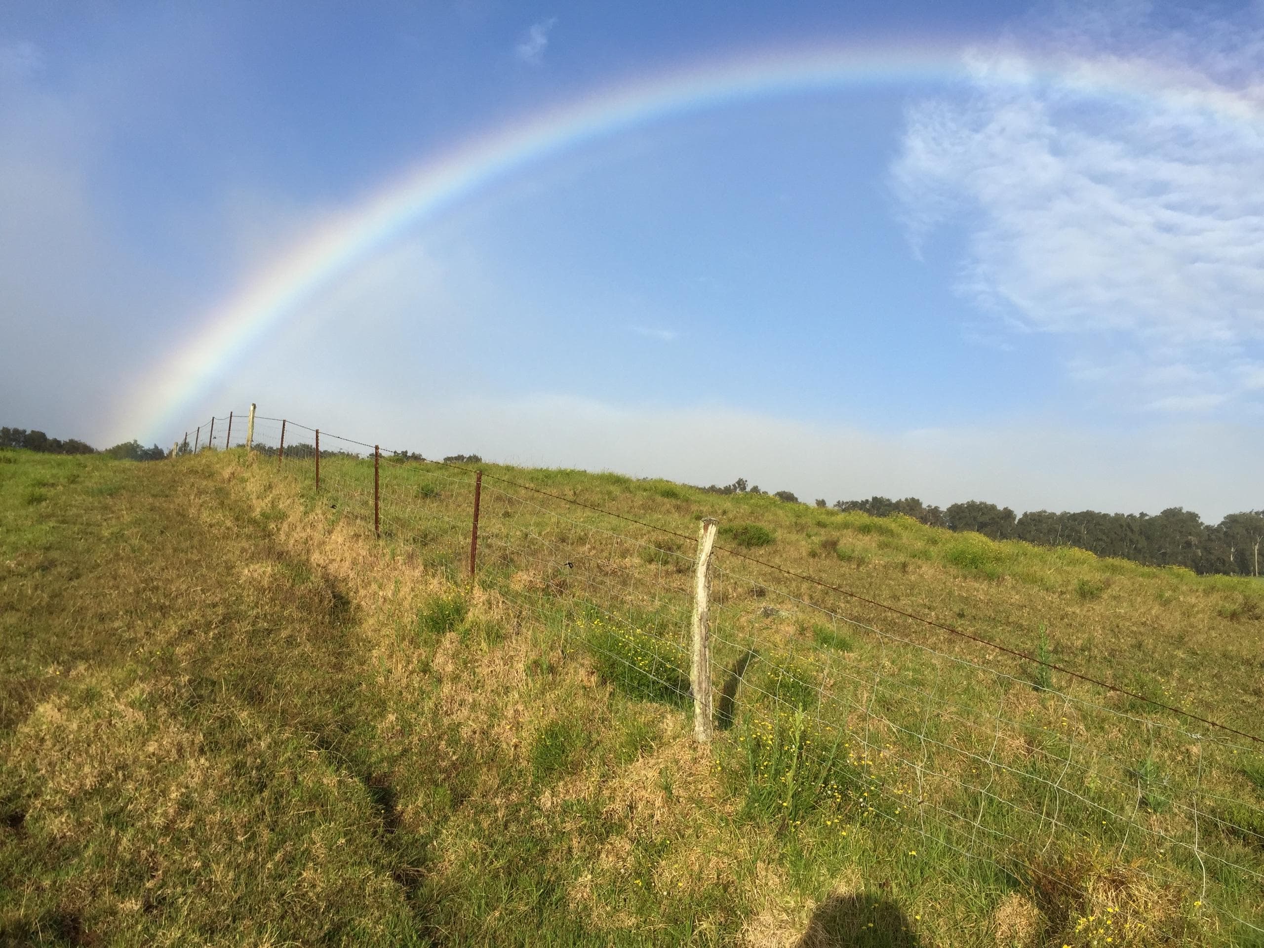 Vibrant rainbow arcing over fence and rolling green pastureland