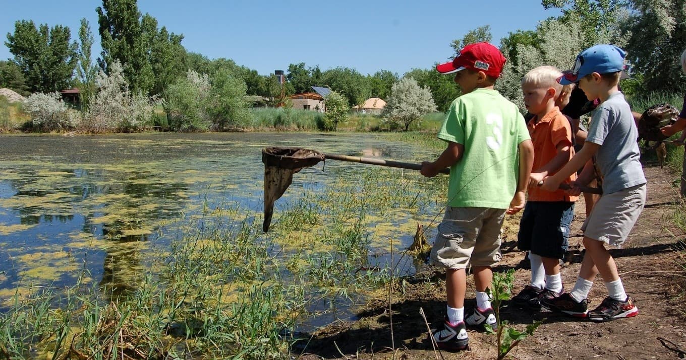 May: Pond Ecology Exploration in Ogden, Utah