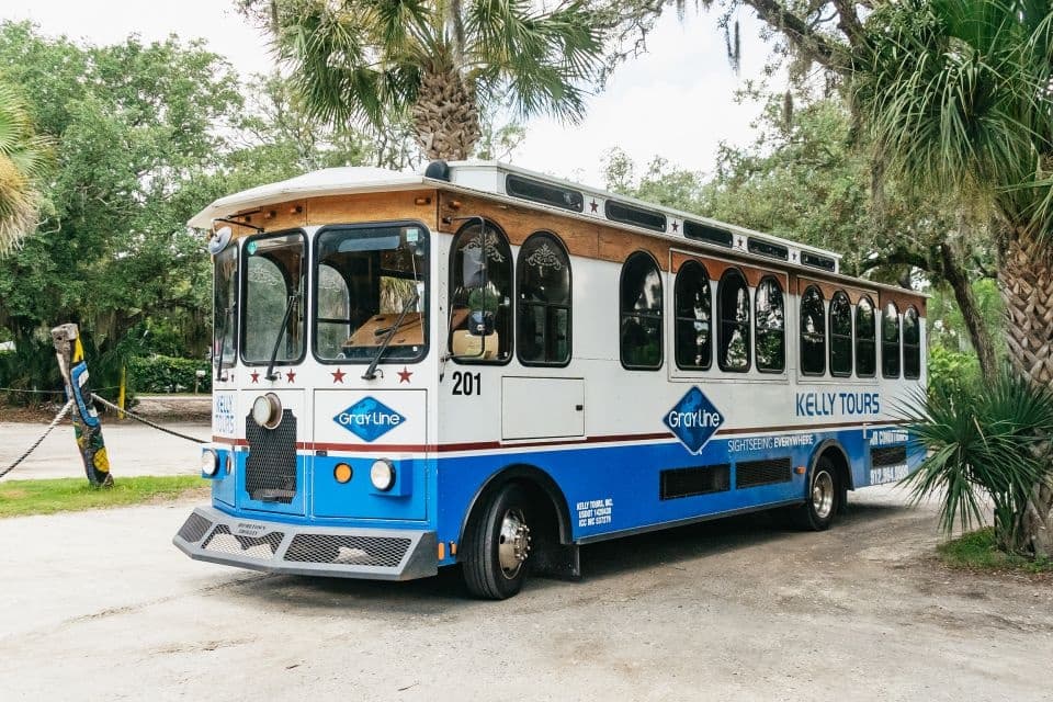 Savannah Bike Tours fleet
