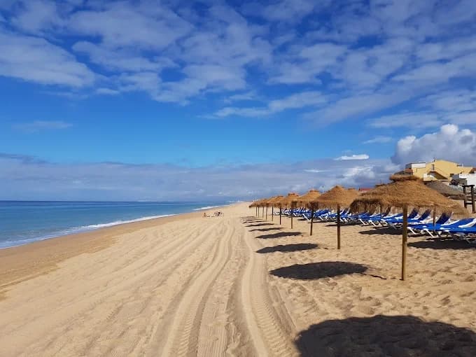 Formosamar One-Way Shuttle to Faro Beach — Quick Praia de Faro Crossing