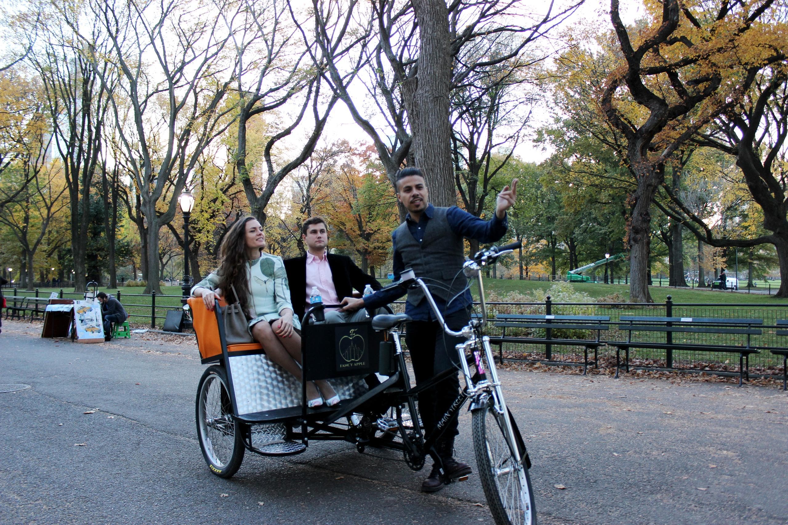 Explore Central Park's Iconic Landscapes on a 2-Hour Guided Pedicab Tour