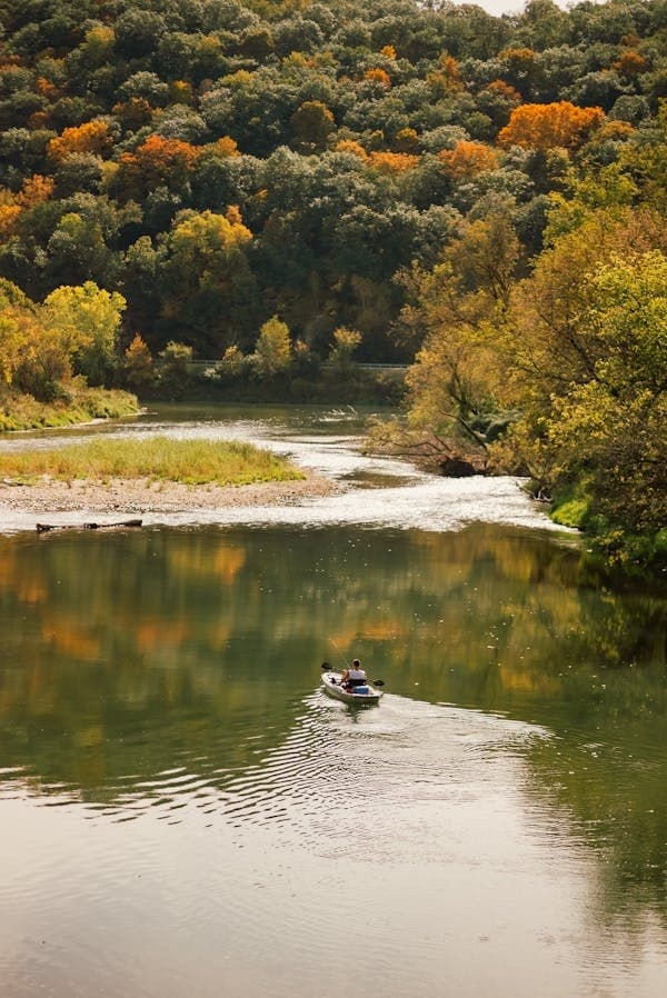 Bird Watching Kayak Rental in Hitchcock, Texas