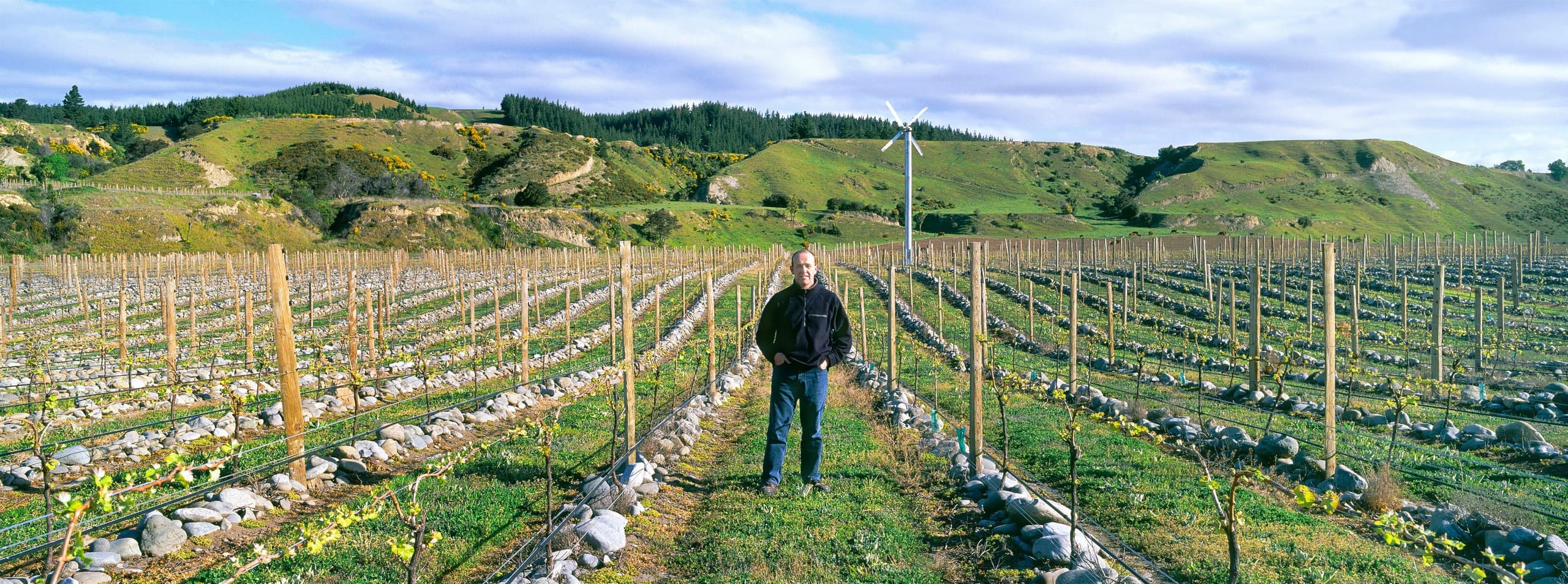 Inside Tūpari Rā: Private Winemaker Experience in Seddon, Marlborough
