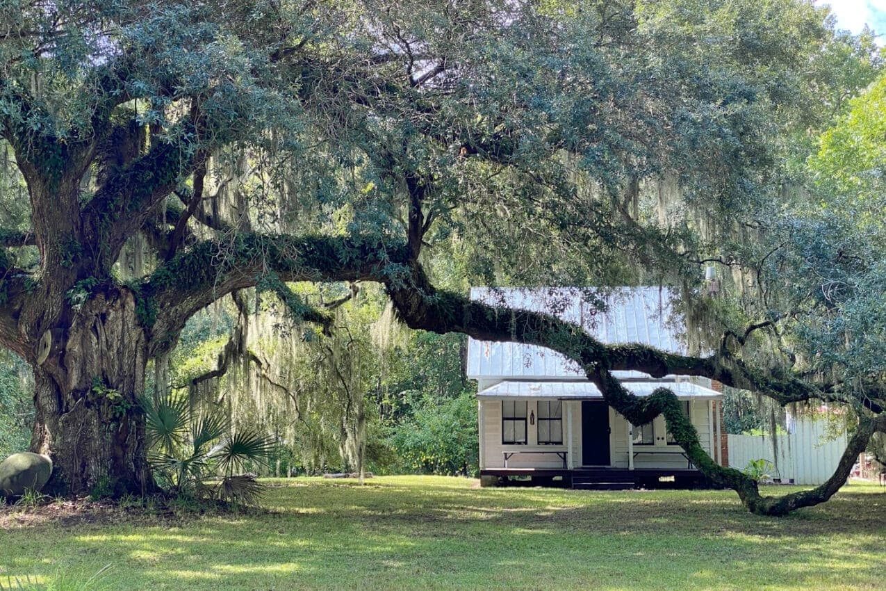 Discover Daufuskie Island: Scenic Water Taxi Adventure from Bull River Marina