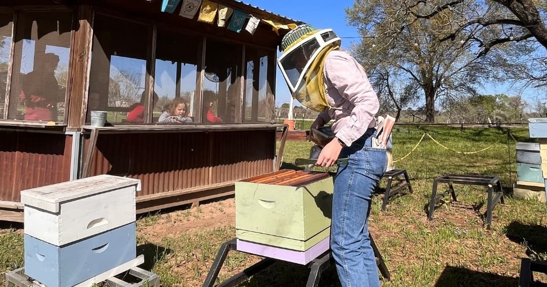 Beekeeper in veil inspecting hive boxes during outdoor demo