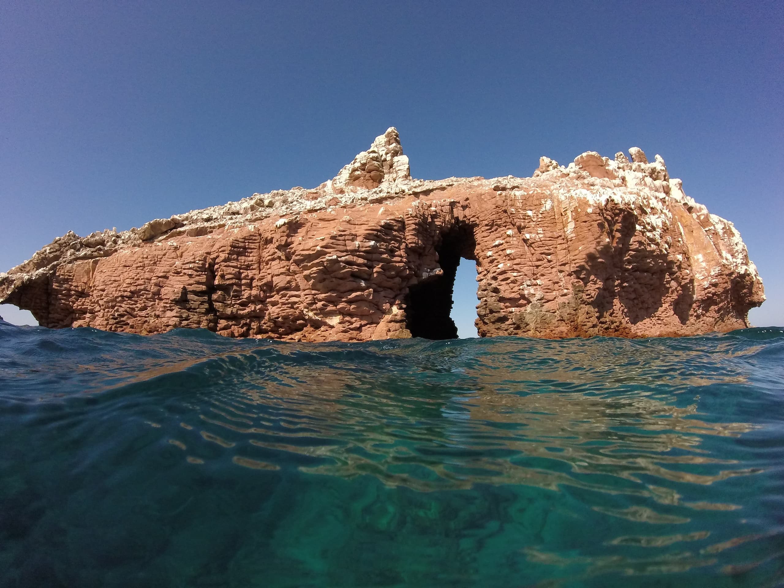 Snorkeling & Wildlife Tours at Isla Espíritu Santo with MeXplore
