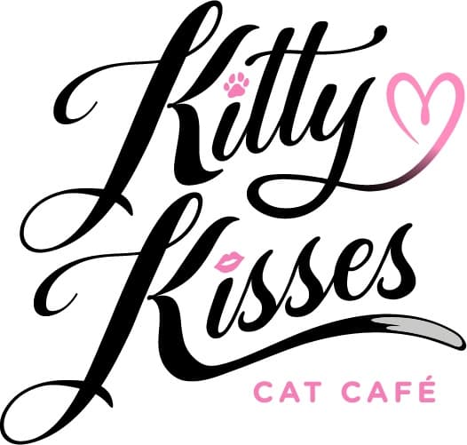 Pilates With Cats in Reno: Purrlates 50-Minute Workout and Cuddle Session photo 1