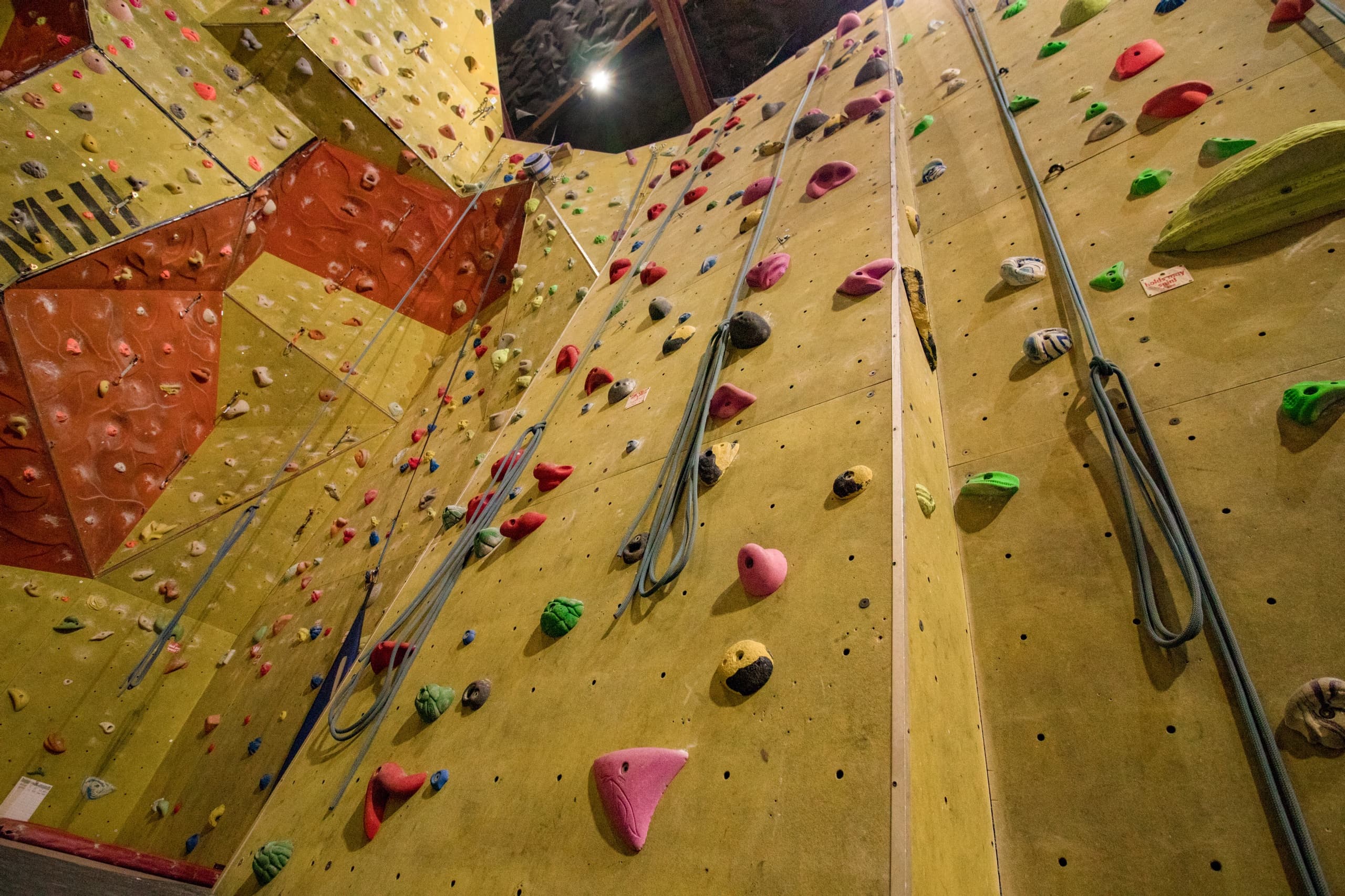 Indoor top-rope rock climbing wall with colorful holds