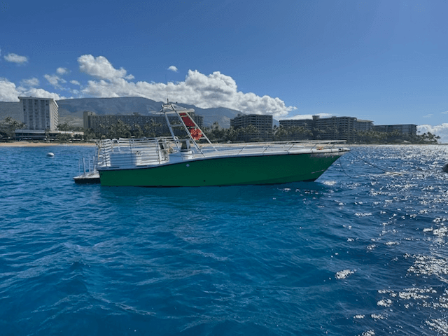 Experience Maui’s Best Private Whale Watching & Dolphin Tours from Lahaina