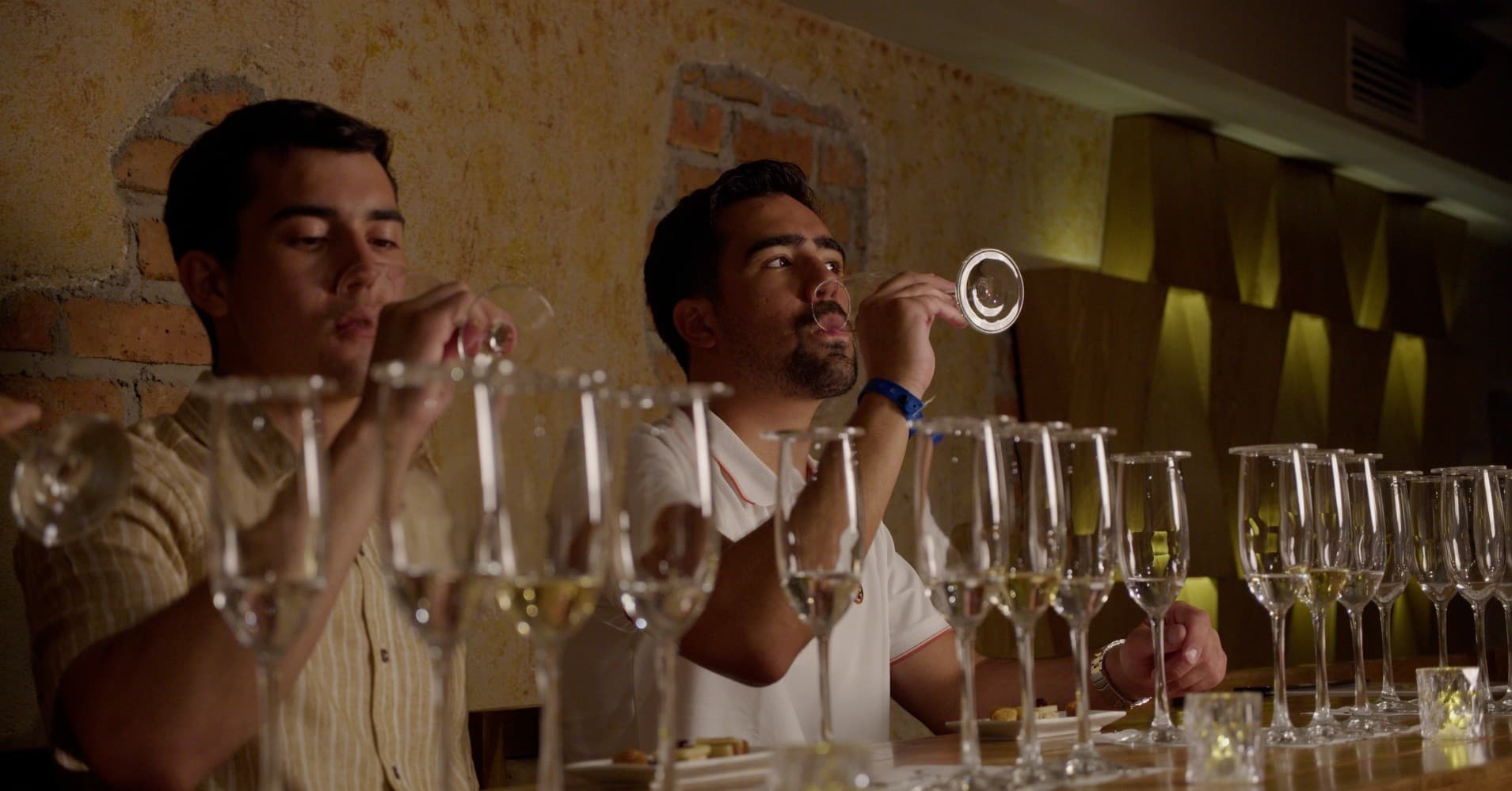 Inside Viva Tequila: Blue Agave Cellar Tasting and 3D Journey in Puerto Vallarta