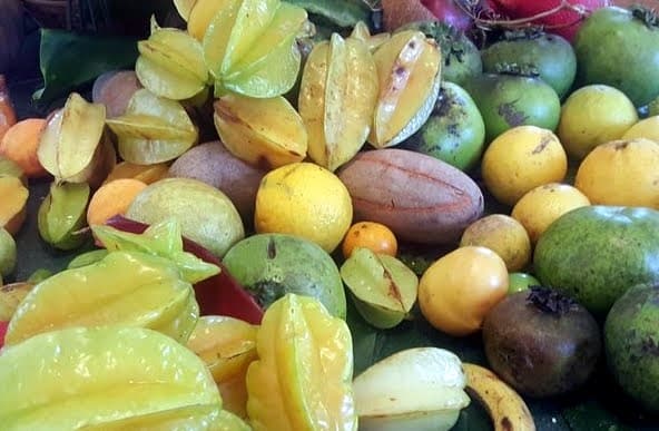 Taste of the Tropics: Private Food & Winery Tour in Hollywood, FL