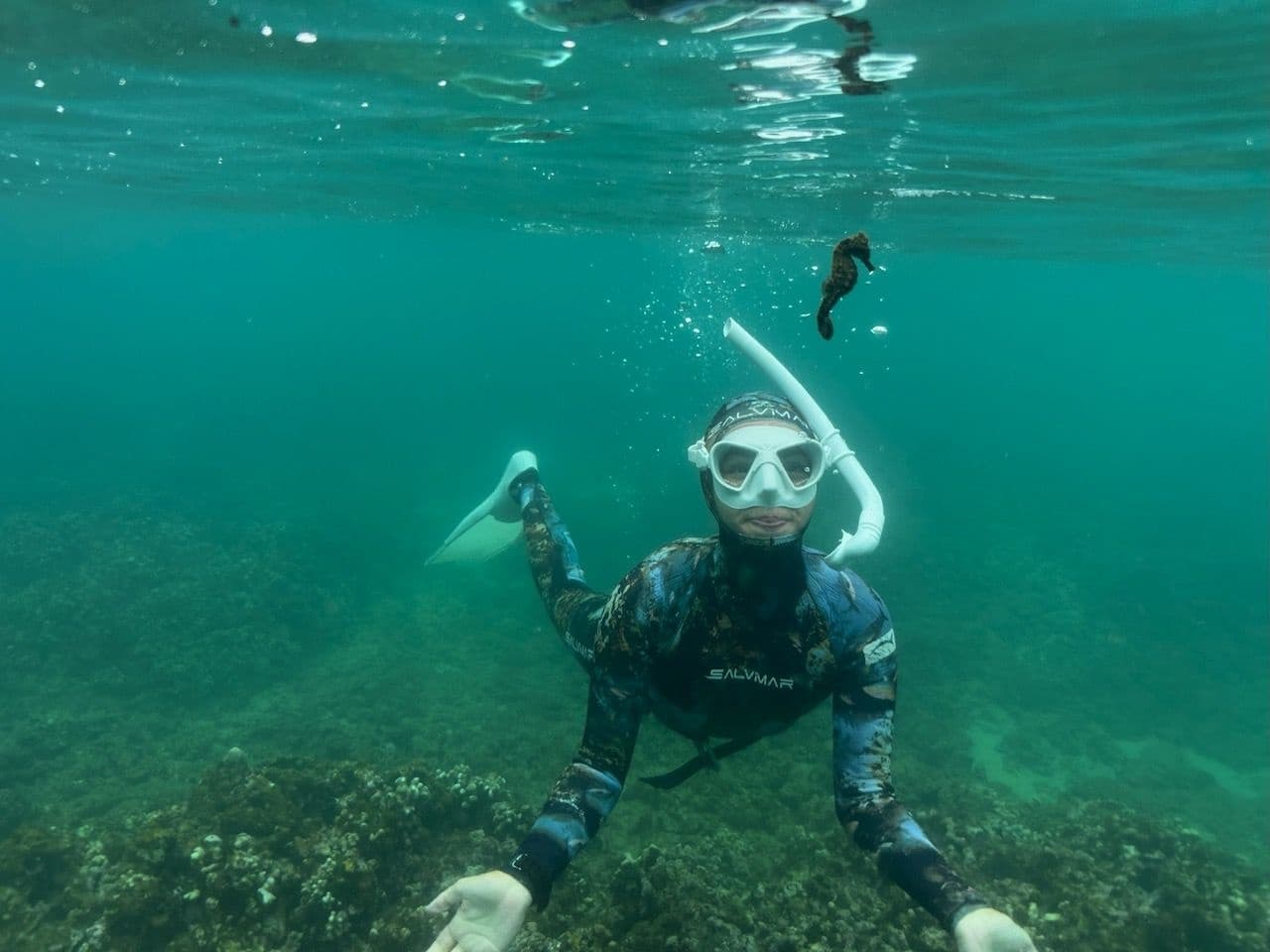 Water Activities & Hawaii Ocean Adventure Tours: Snorkeling on Oahu's North Shore
