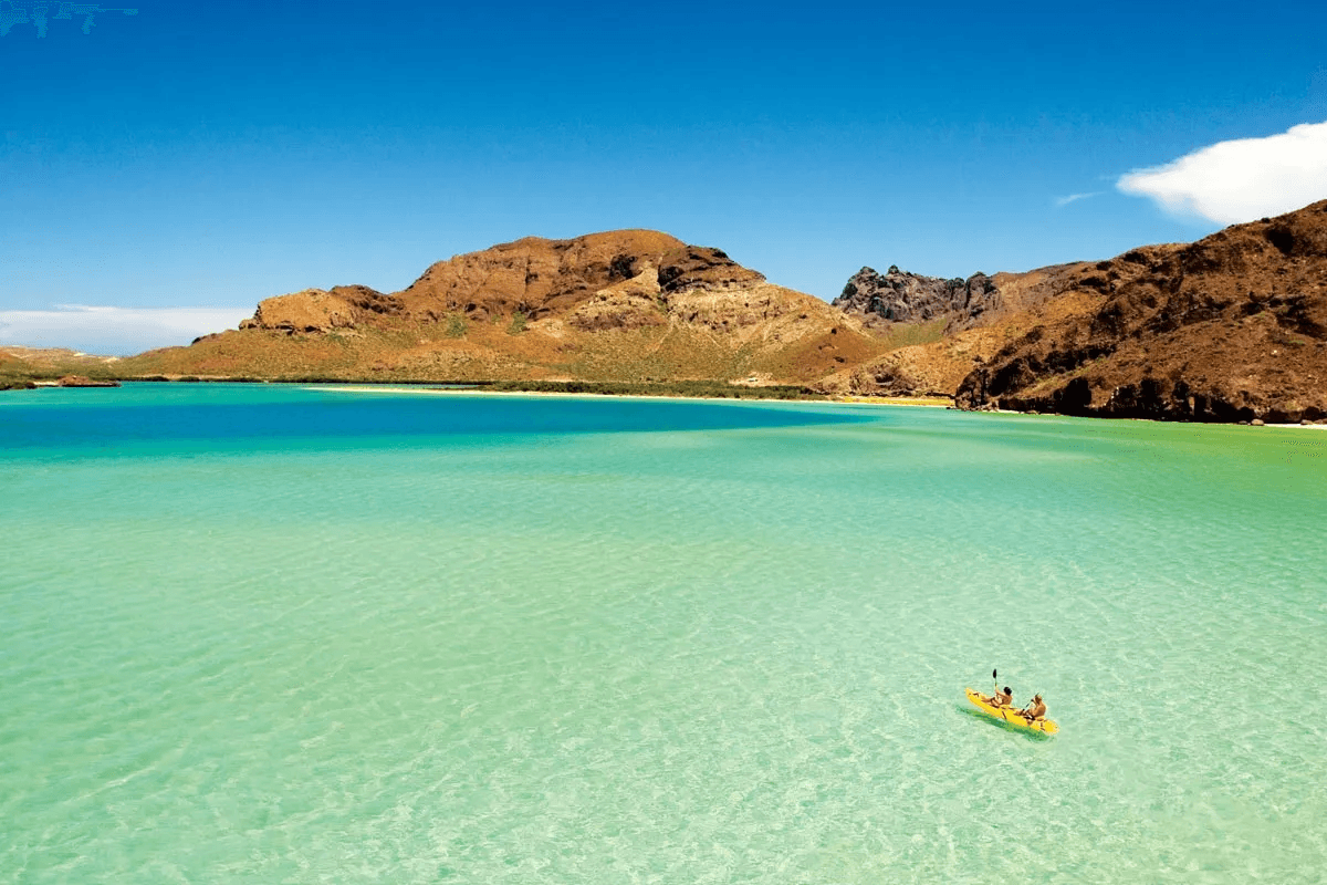 Explore Baja California: 10-Day Journey Through Desert, Sea, and Culture