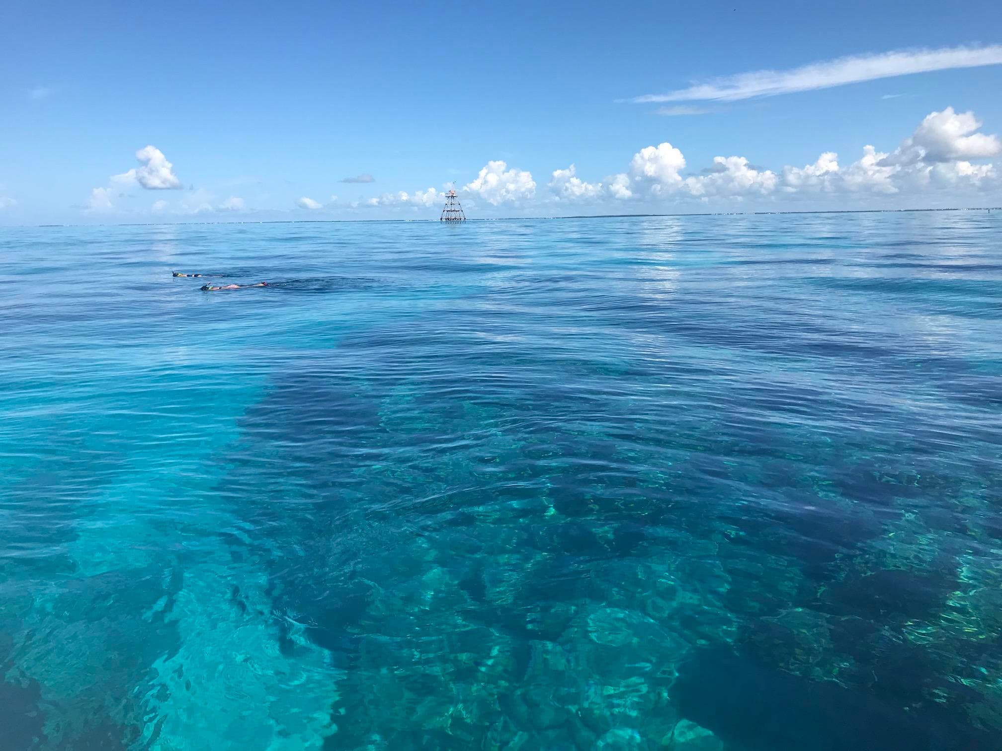 Private Boat Charters in Key Largo with Island Ventures
