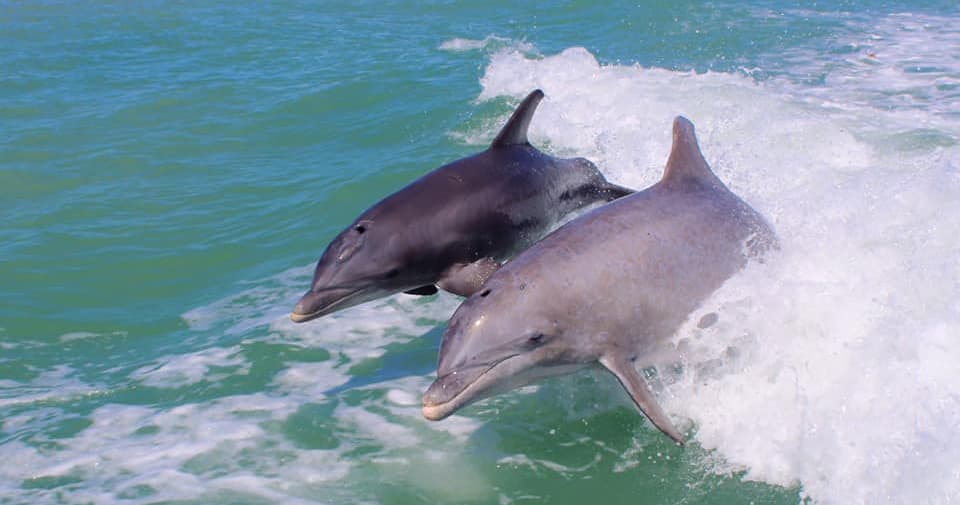 Siesta Key Watersports team