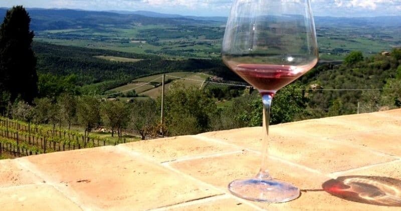Discover Tuscany’s Hidden Treasure: A Truffle Hunting Adventure in Chianti Hills