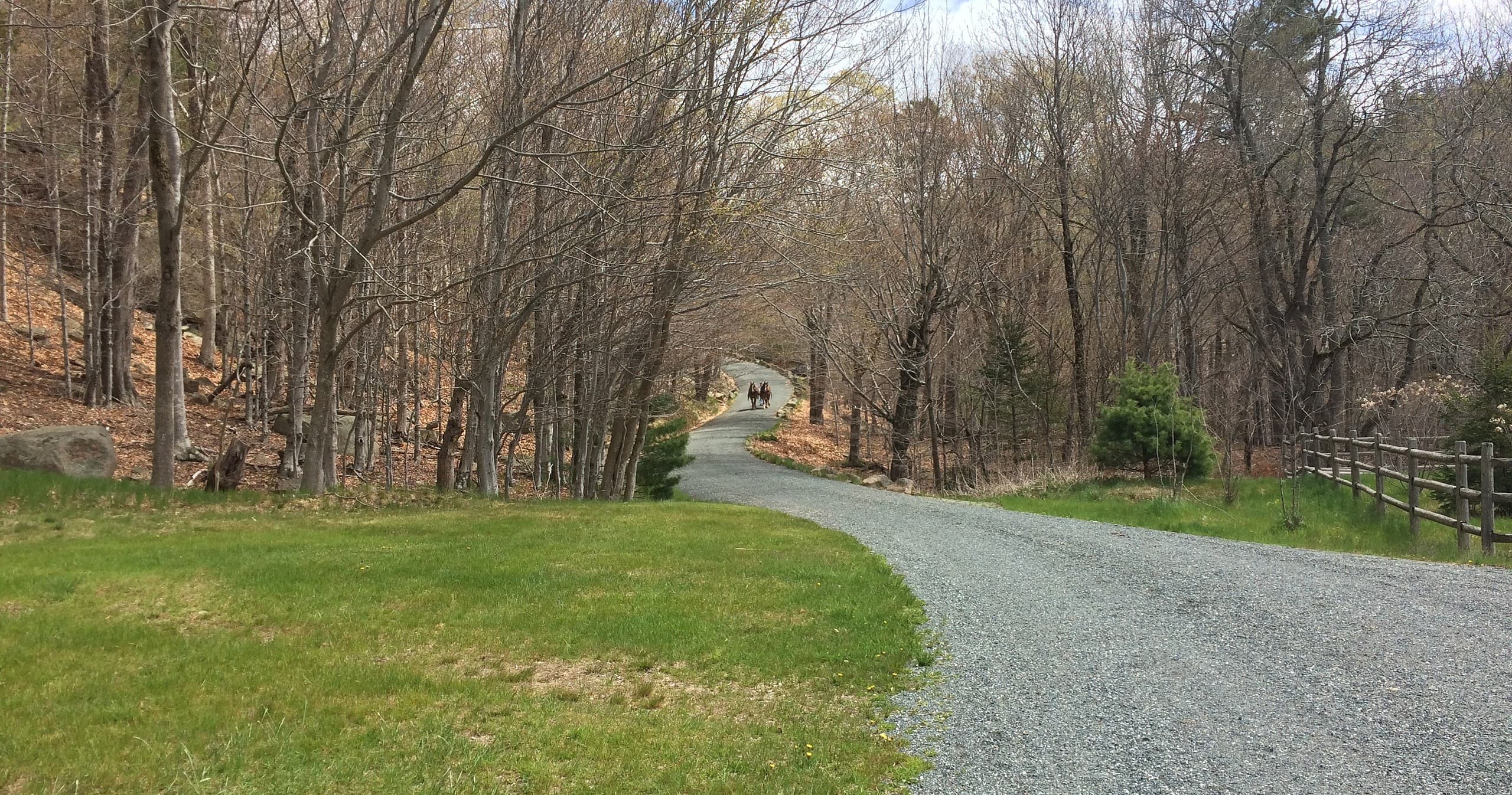 Horse Stalls & Campsites: 3 Nights in Bar Harbor, Maine
