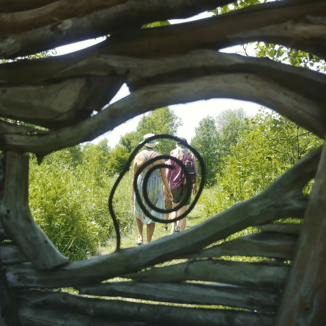 Wildlife & Art Adventure at RavenStar in Magical Trails