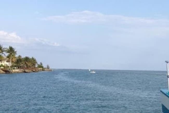 Severn River Cruise by Island Princess Cruises in Annapolis