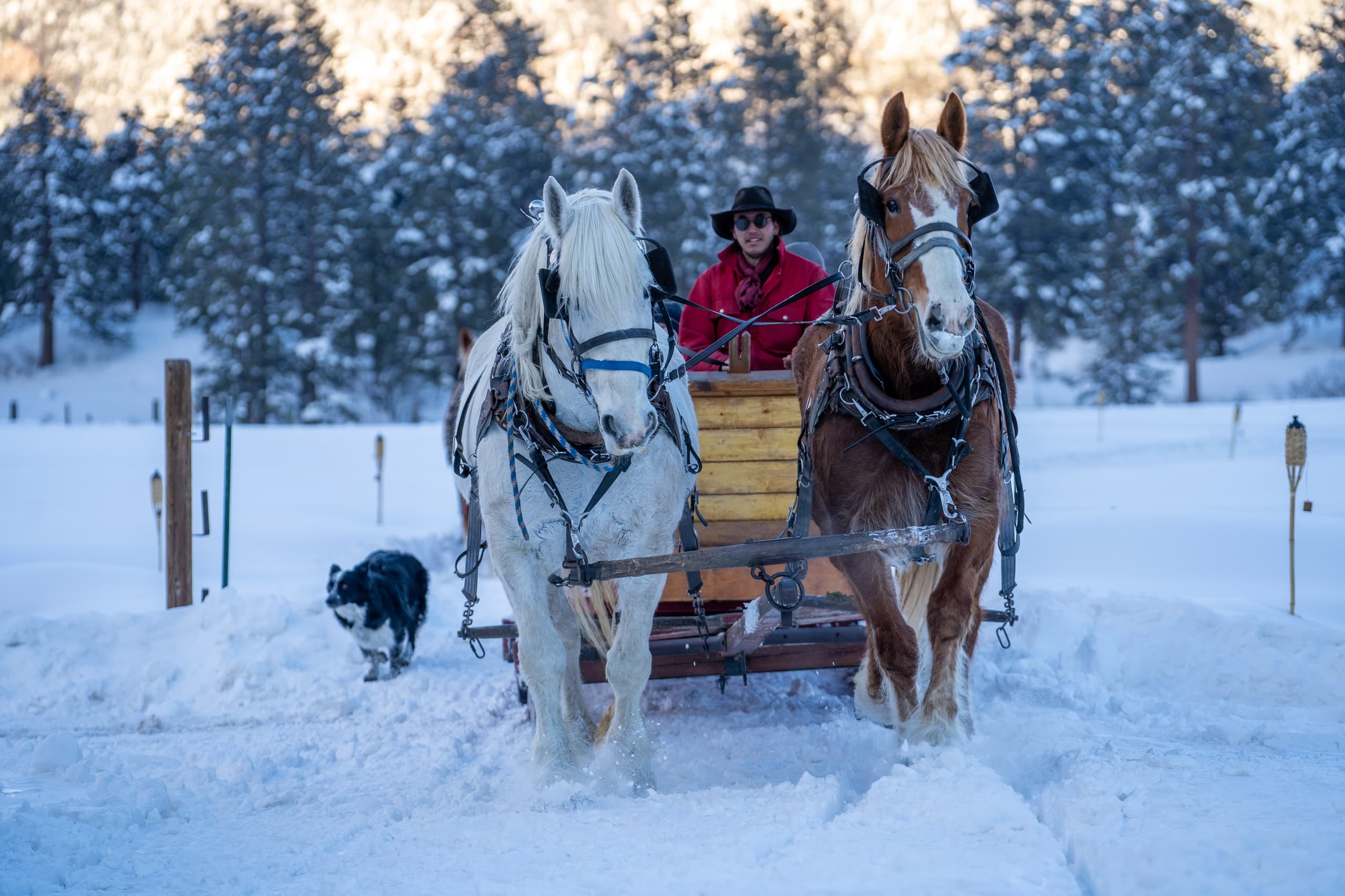 Magical Winter Sleigh Ride in Durango, Colorado