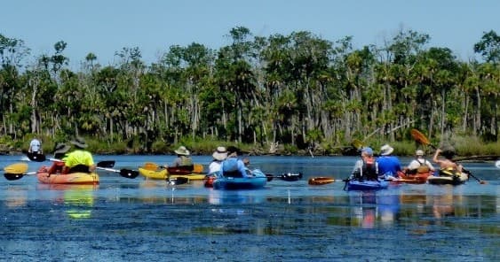 Paddle Little Big Econ: 11.5-Mile 5–6 Hour River Trip from Chuluota