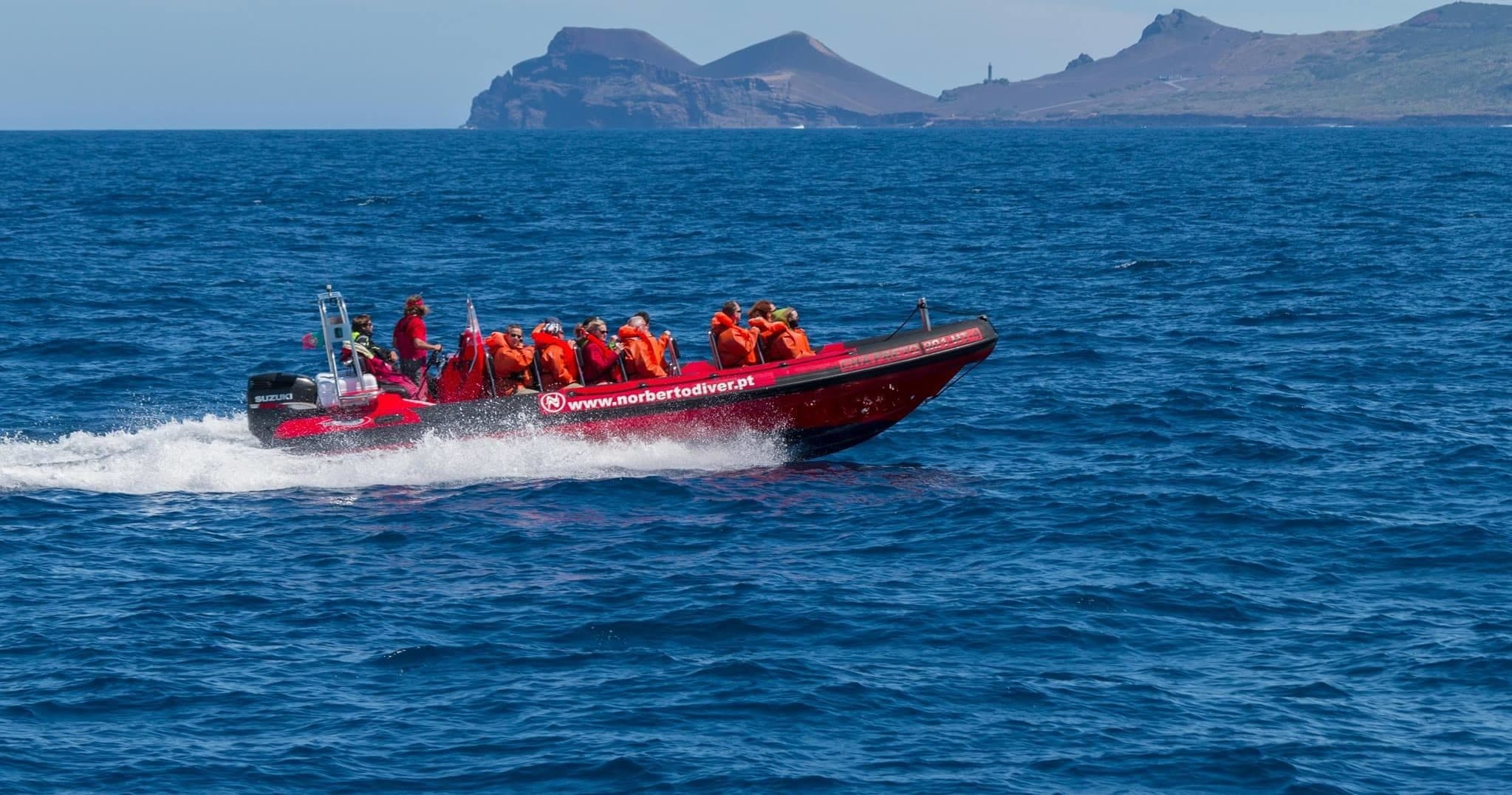 Boat Charter & Marine Wildlife Tour at Faial & Pico with Norberto Diver