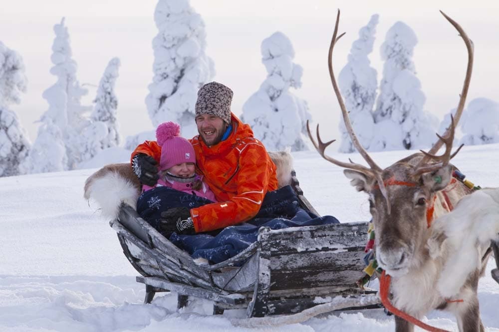 Arctic North team