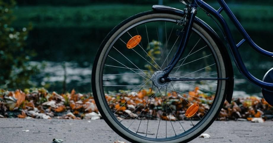 Bike Rental Adventure with Visit Albufera in València