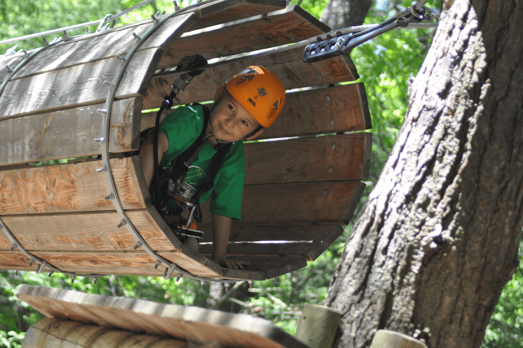 Kids' Treehouse Adventure at Treetop Eco-Adventure Park