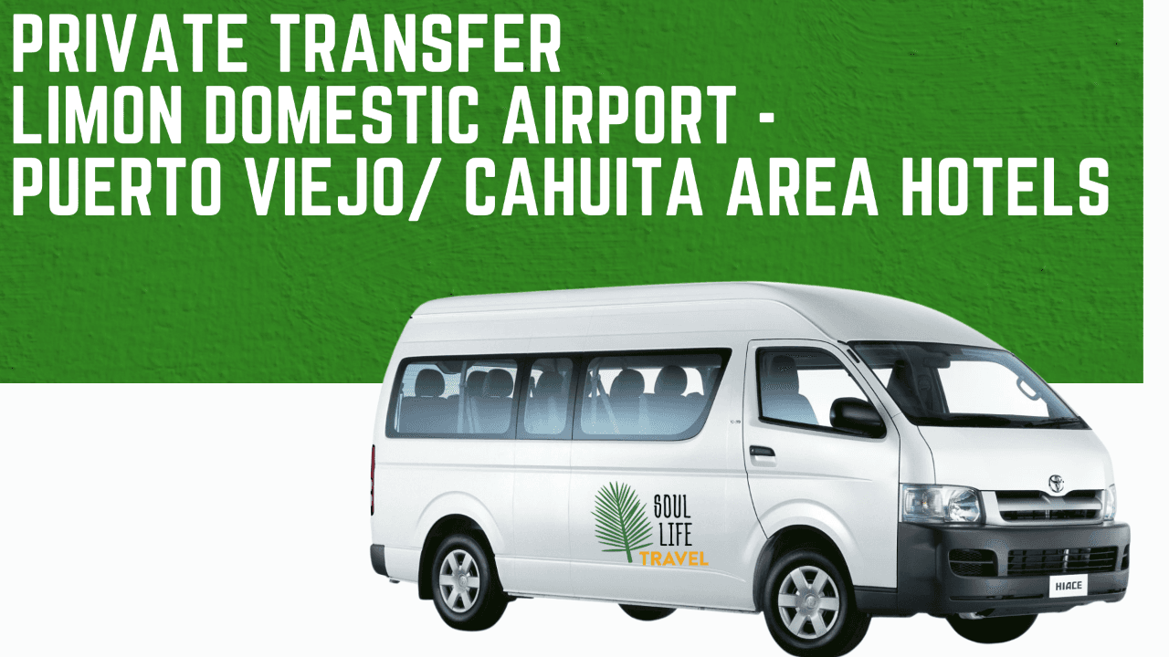 Caribbean Coast Private Transfer: Limón Airport to Puerto Viejo and Cahuita