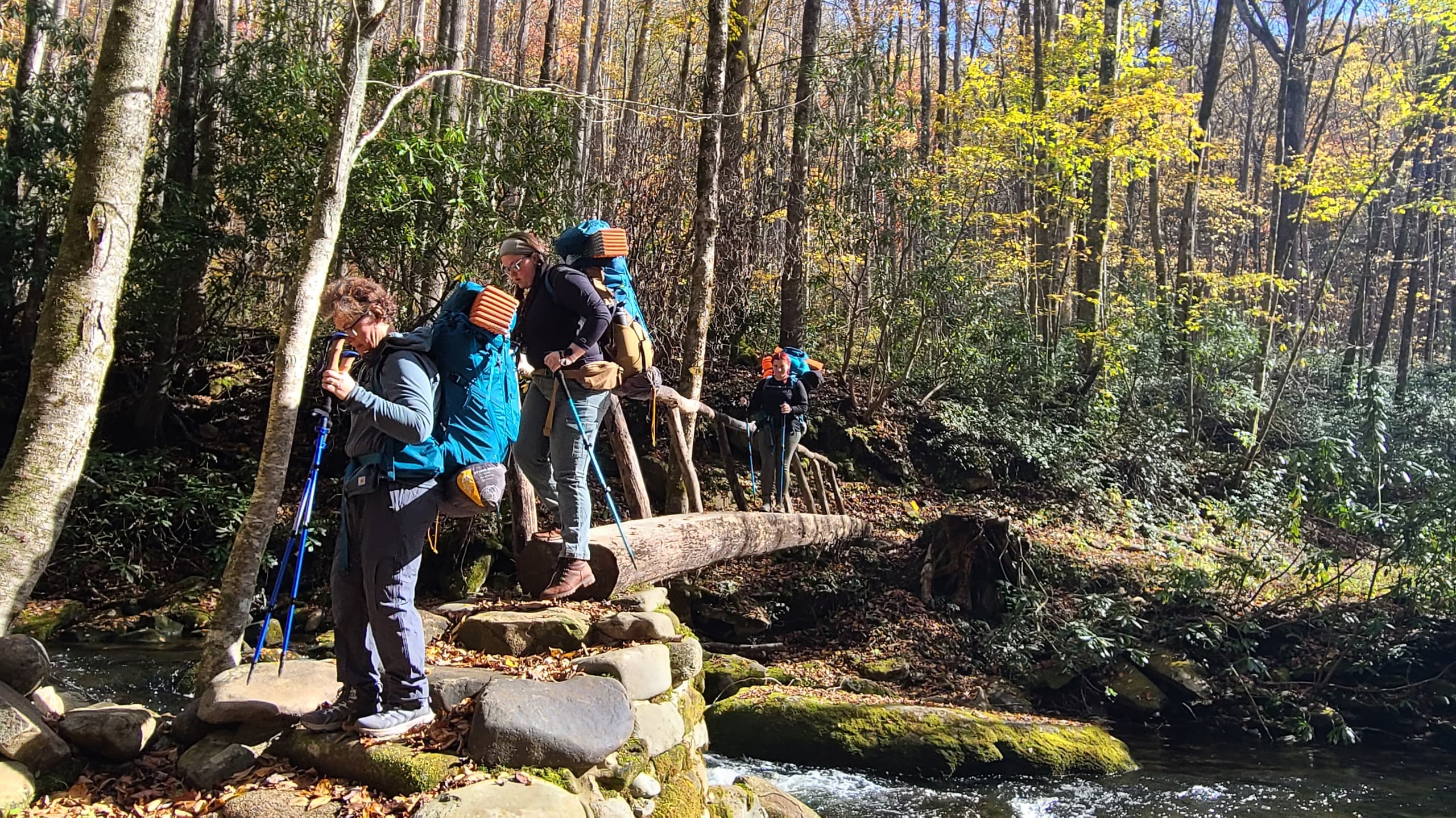 Camp Under the Stars: One-Night D&D Adventure in the Great Smoky Mountains photo 2