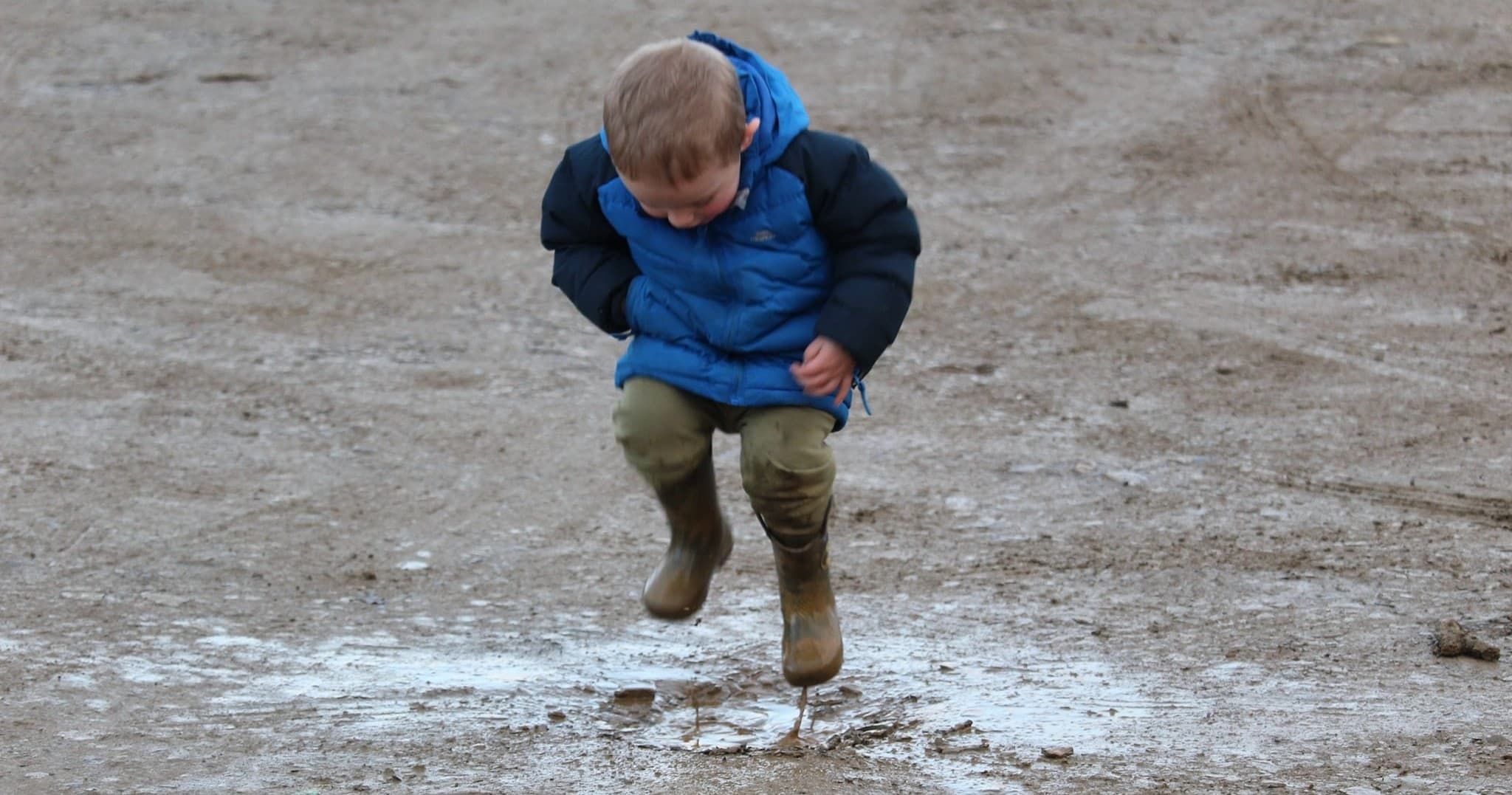 Family Animal Interaction at Secret Valley Wildlife Park, Clonroche