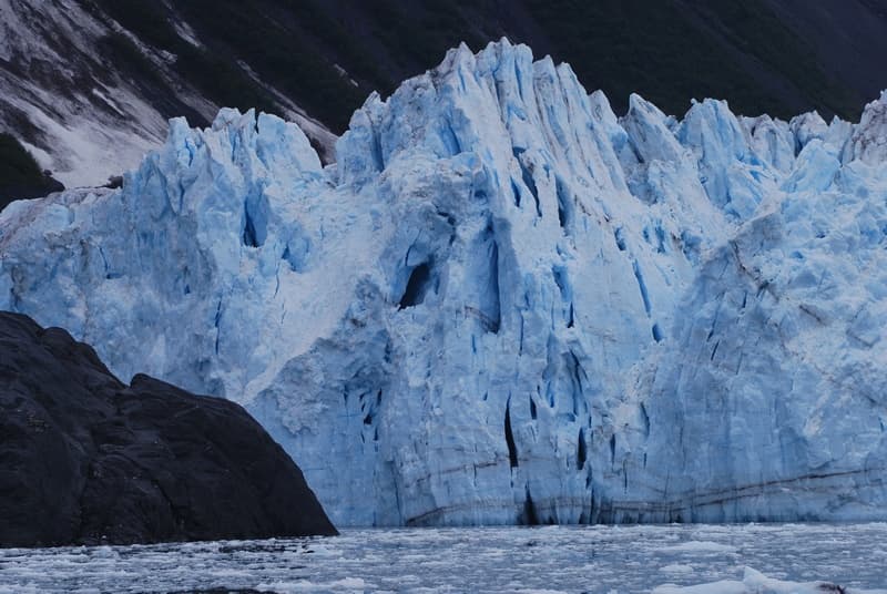 Winter Glacier & Wildlife Cruise with Greatland Adventures in Anchorage