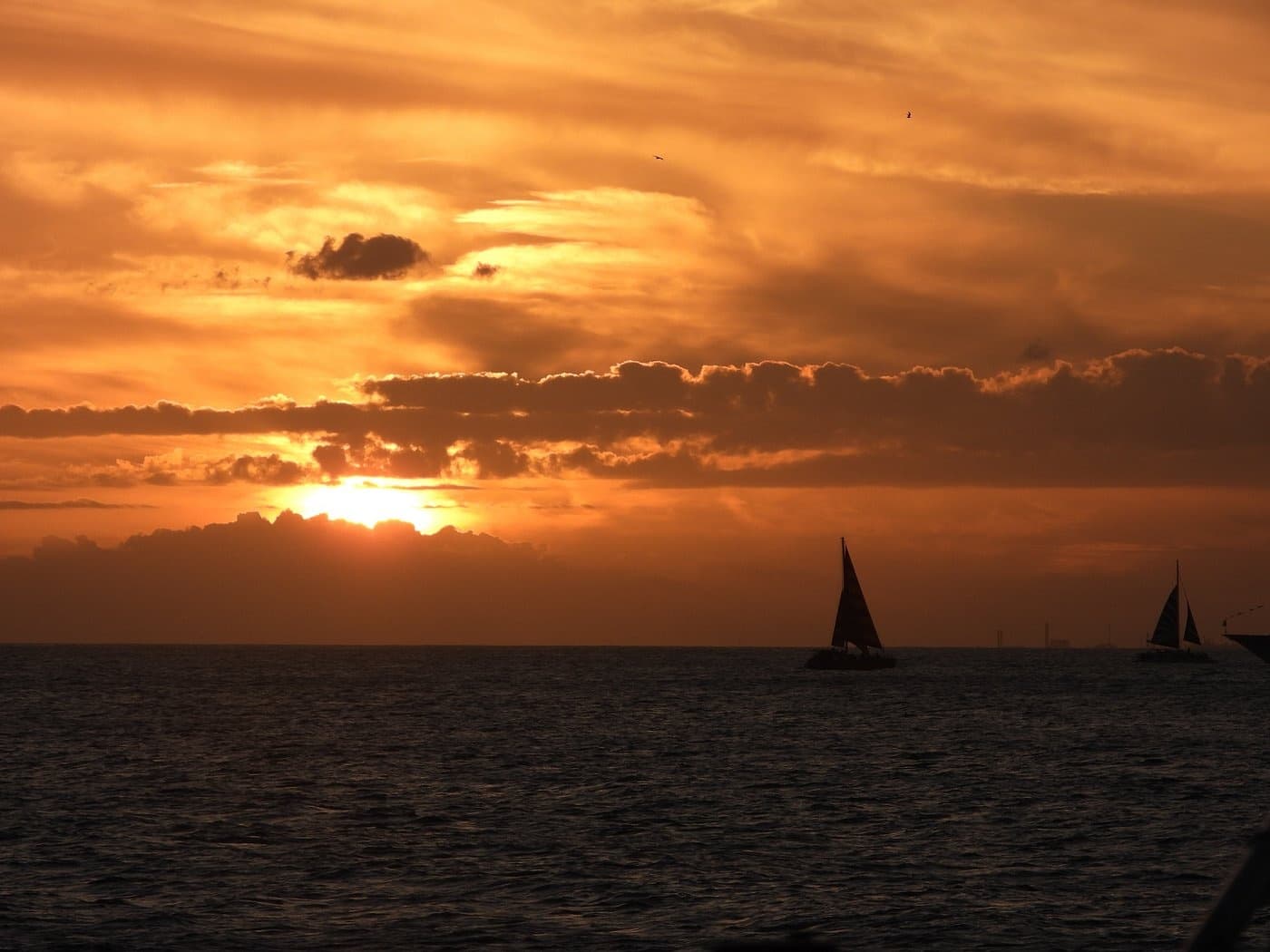 Sunset Dinner Sail Waikiki: Prince Kuhio Cruise with Diamond Head Views