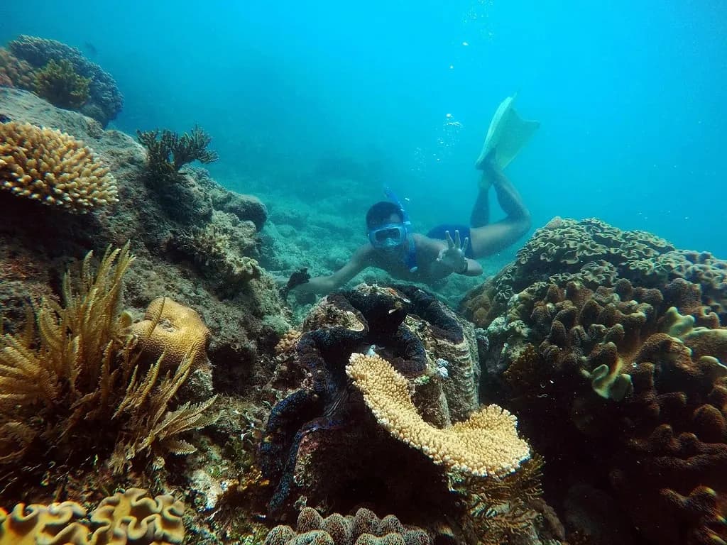Diving the Great Barrier Reef with Reef Daytripper