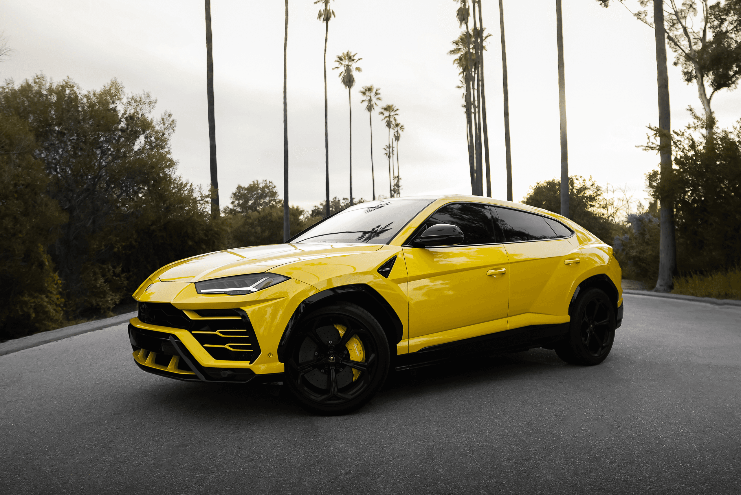 Lamborghini Urus Rentals in New York with Corsa Auto Rental