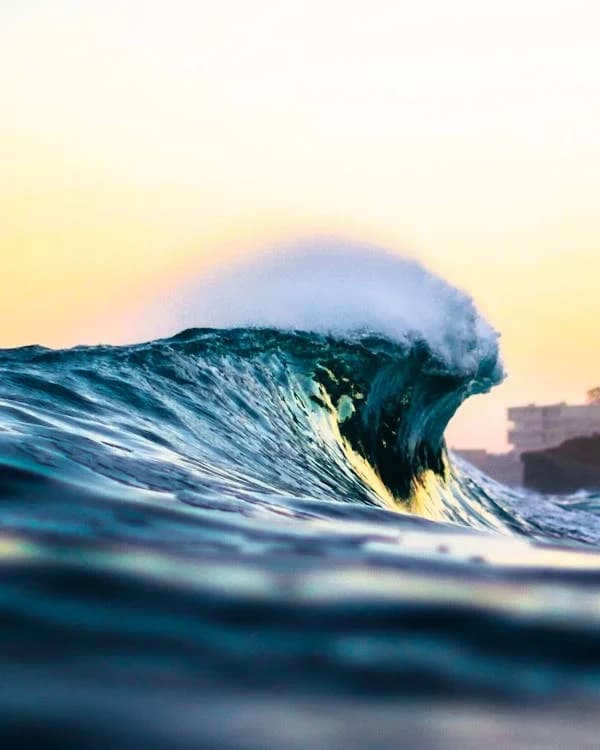 Catch Your First Wave: Private Surf Lessons in Laguna Beach