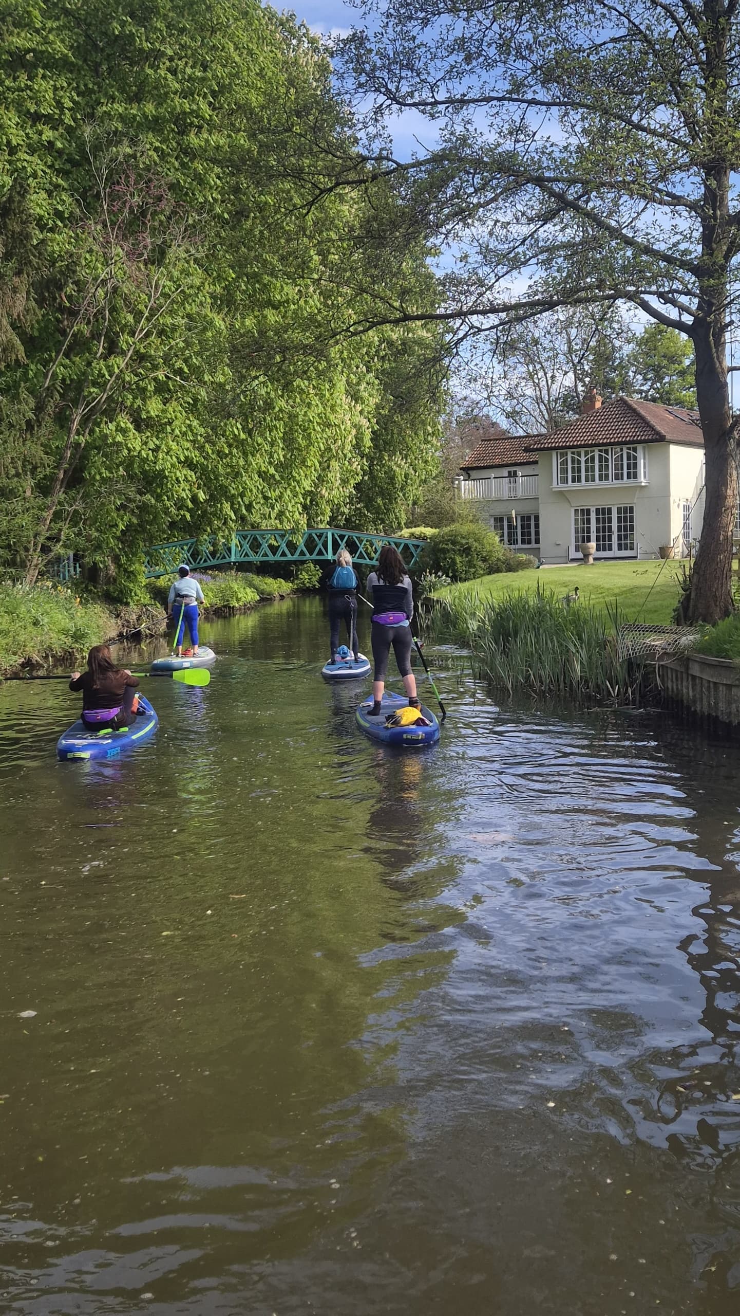 Henley & Hennerton SUP Safari: Paddle the Non-Tidal Thames from Henley-on-Thames photo 2