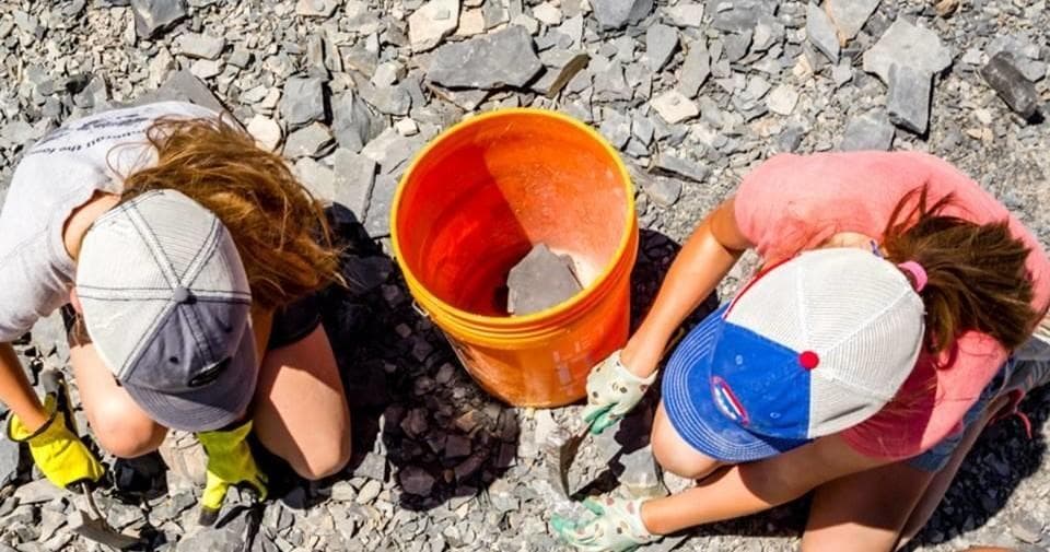 Full Day Private Fossil Dig Experience in Delta, Utah