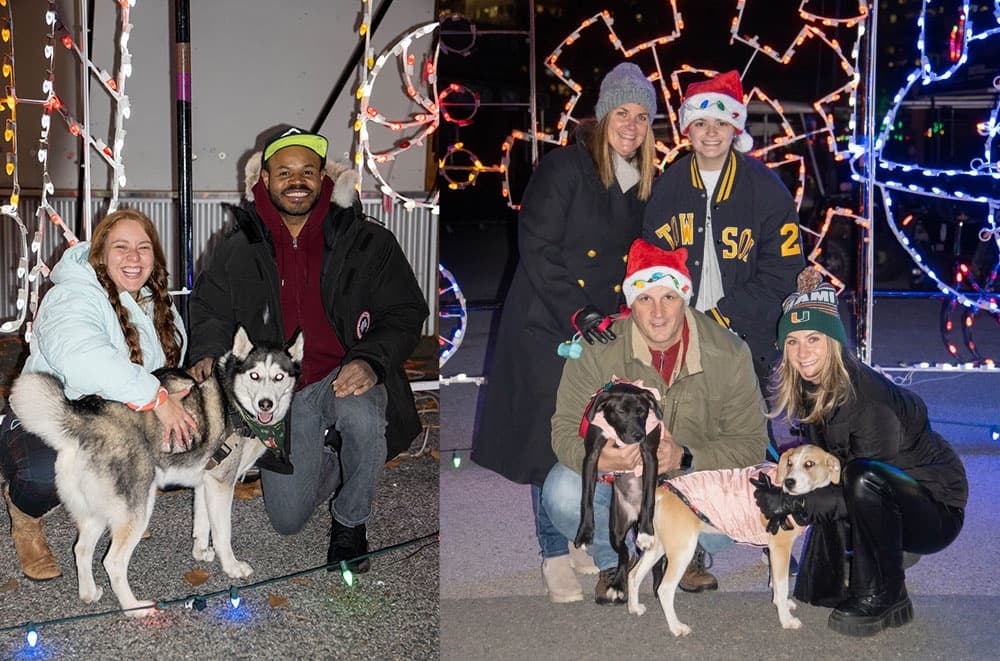 Tail Lights Walk Through with Dogs: A Festive Outdoor Experience in Columbia, Maryland photo 2