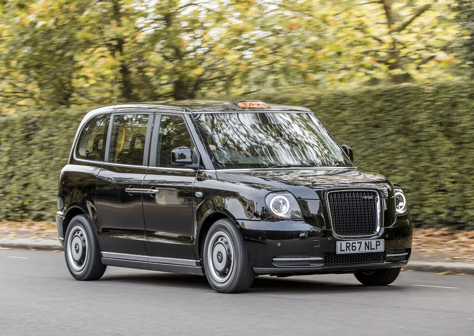 Electric Black Cab Panoramic Tour: Private Two-Hour London Orientation