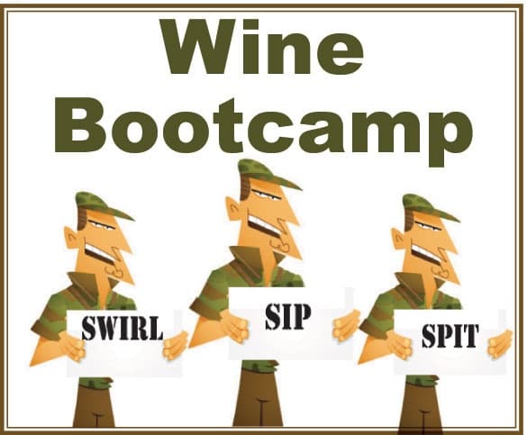 Wine Bootcamp Experience at Little Washington Winery, VA