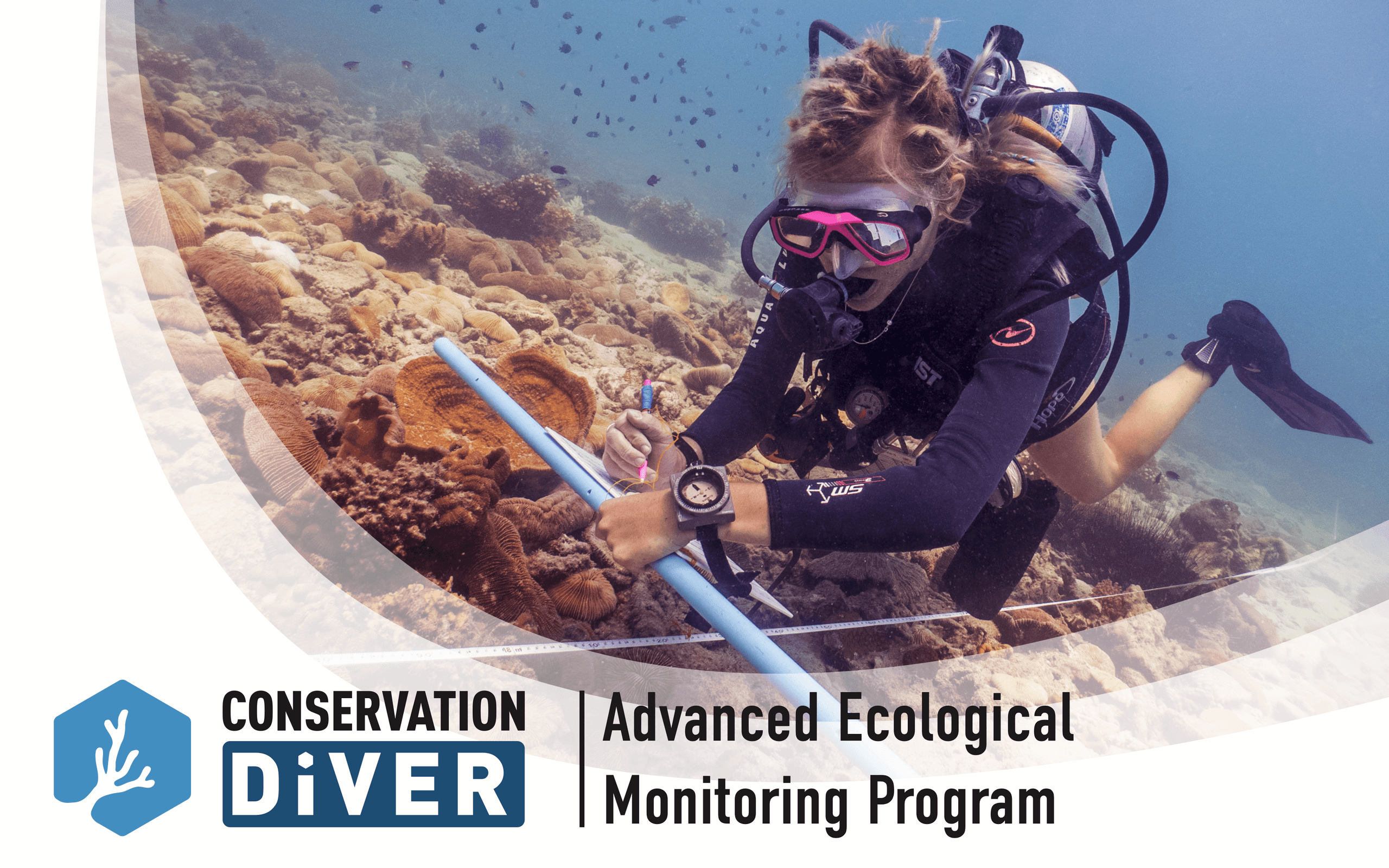 Wildlife/Nature Marine Research Internship at Ocean Alliance