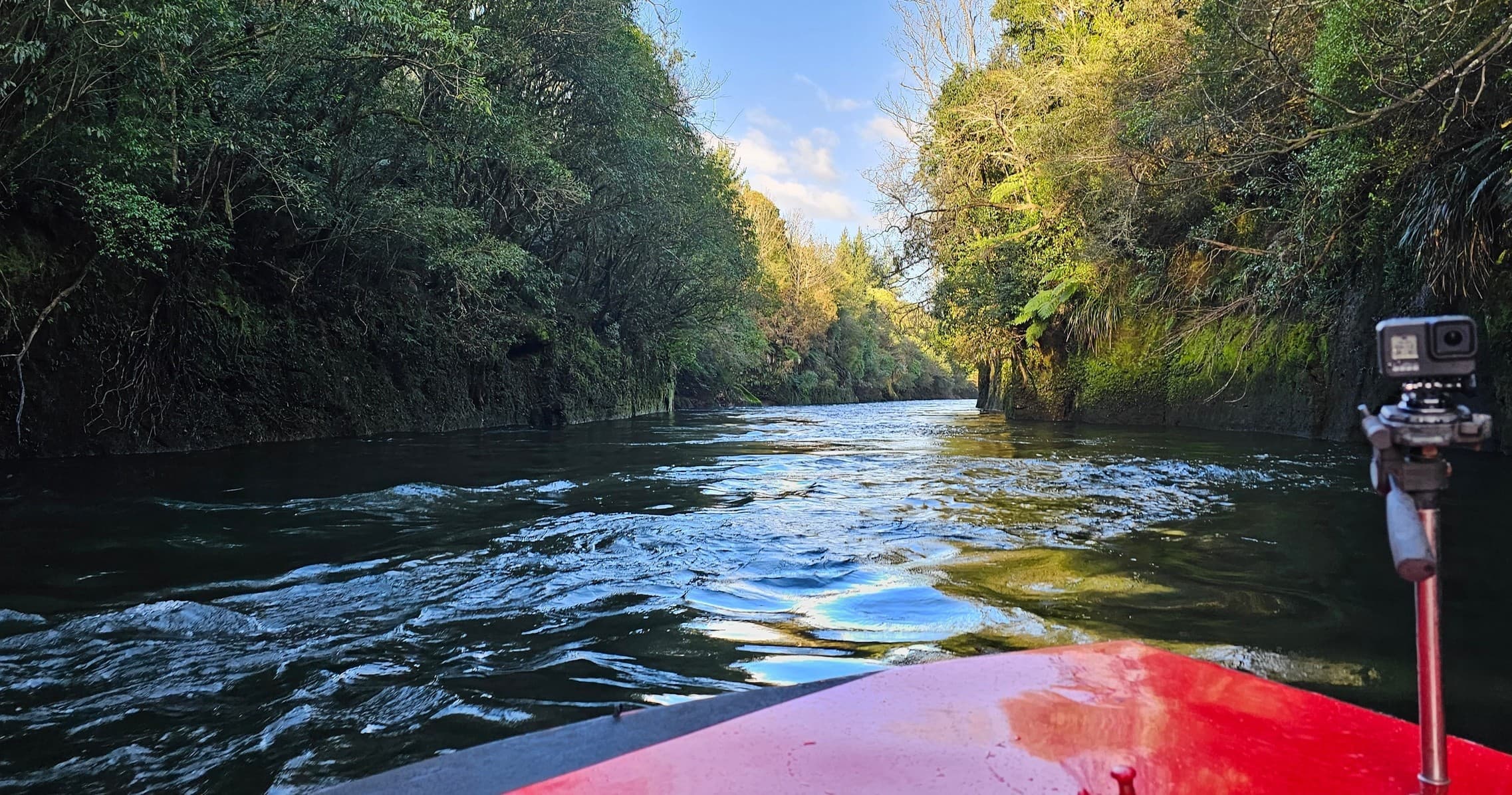 Thrilling Jet Boat Adventure from Cambridge to Hamilton Gardens